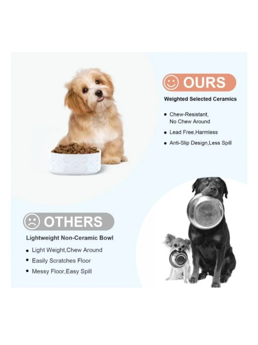 Chewy these ceramic